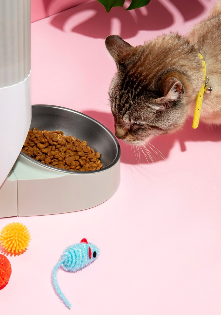 Croquettes Premium pour Chat Stérilisé ou d'intérieur