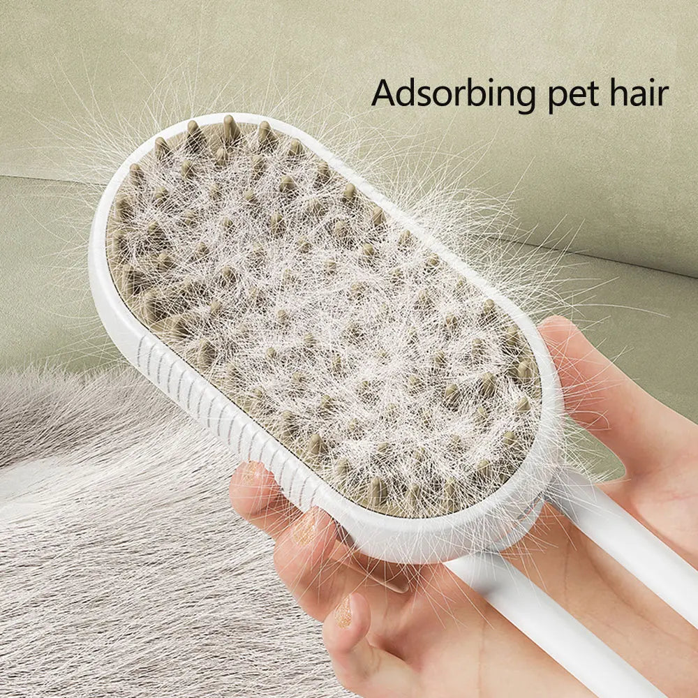 Brosse de Toilettage à Vapeur